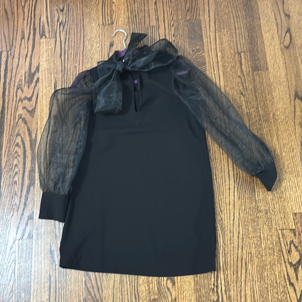 Zara dress